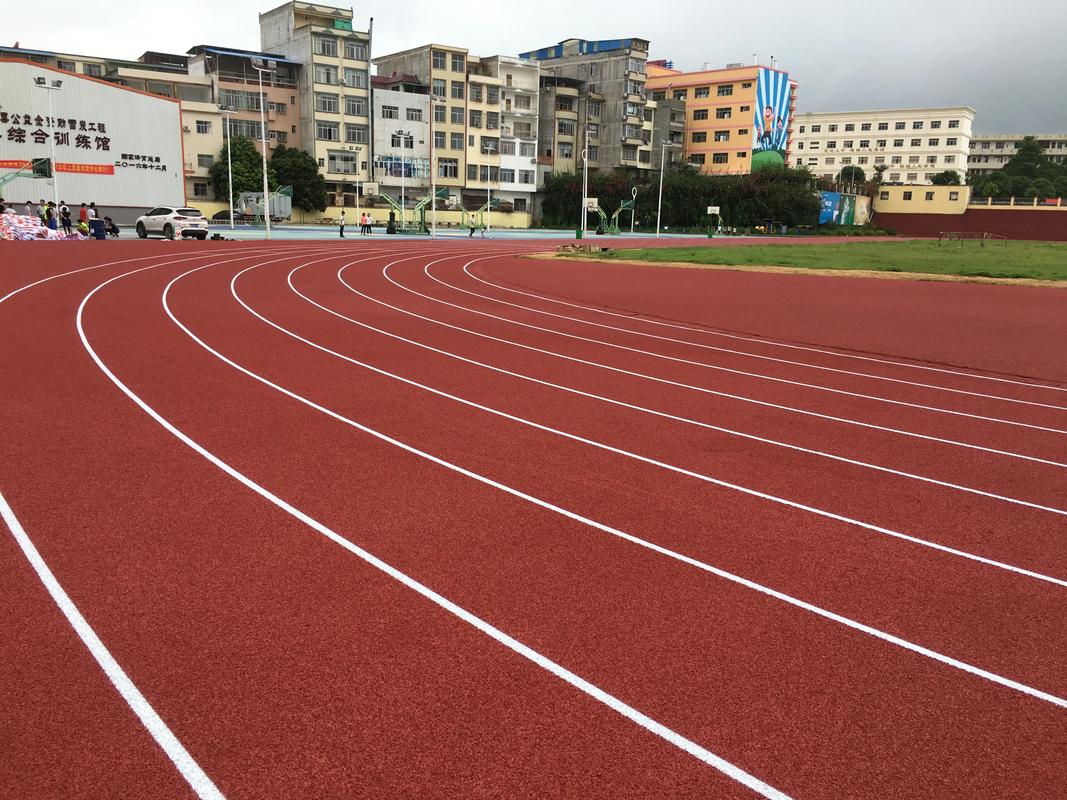 泰安市EPDM颗粒塑胶跑道材料 - 推荐
